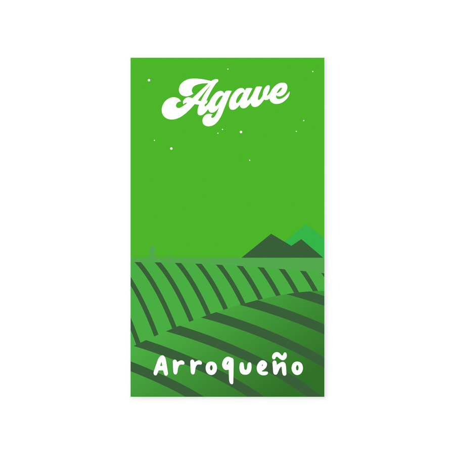 Arroqueño 'Agave' Pin