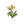 Bird of Paradise Enamel Pin