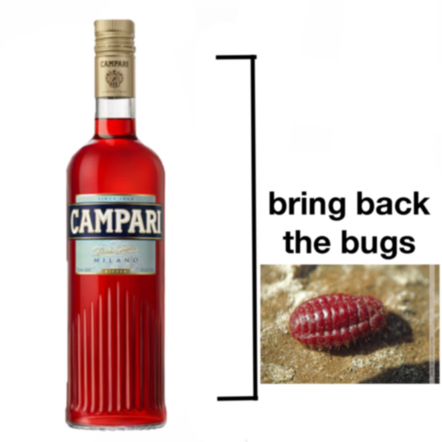 Campari is Bugs Hat