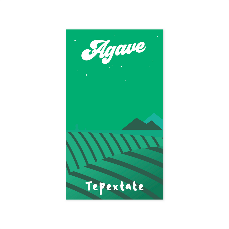 Tepextate 'Agave' Pin