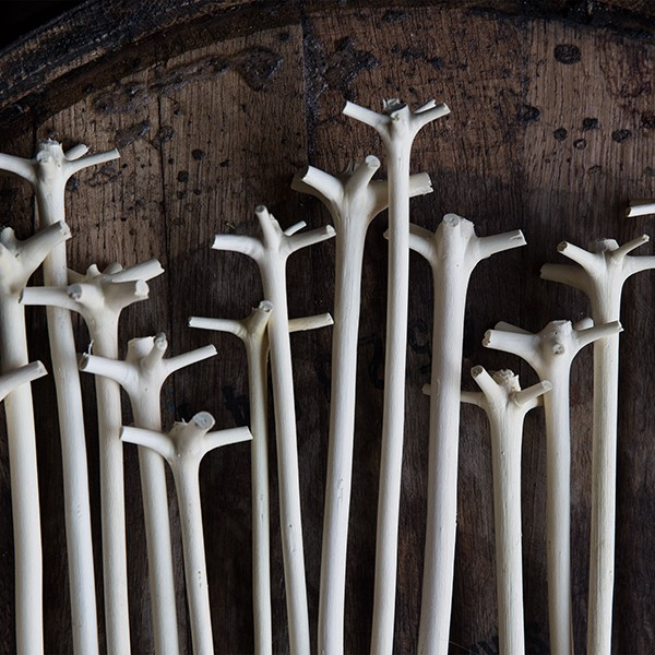 swizzle stick succulent Cocktail Kingdom Swizzle Stick